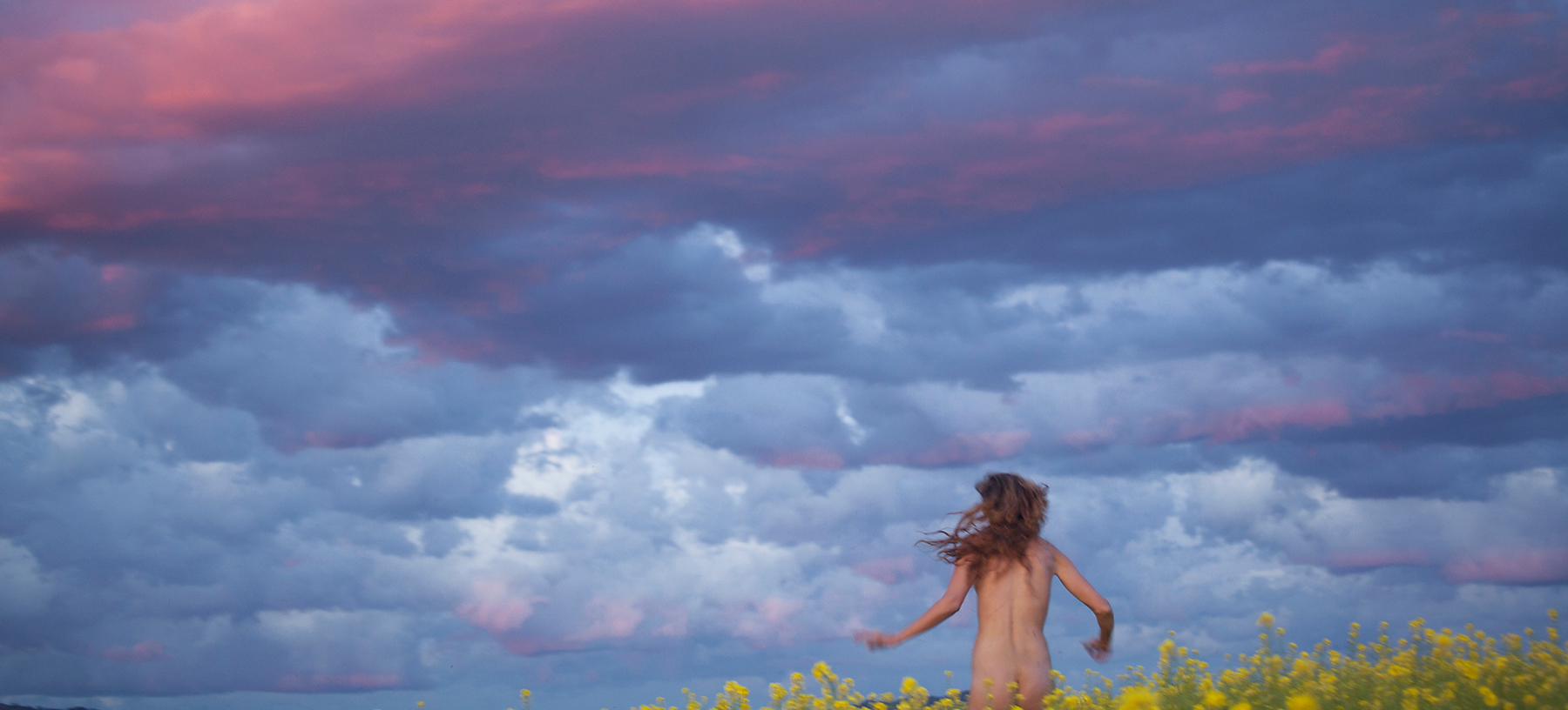 Ryan Mcginley